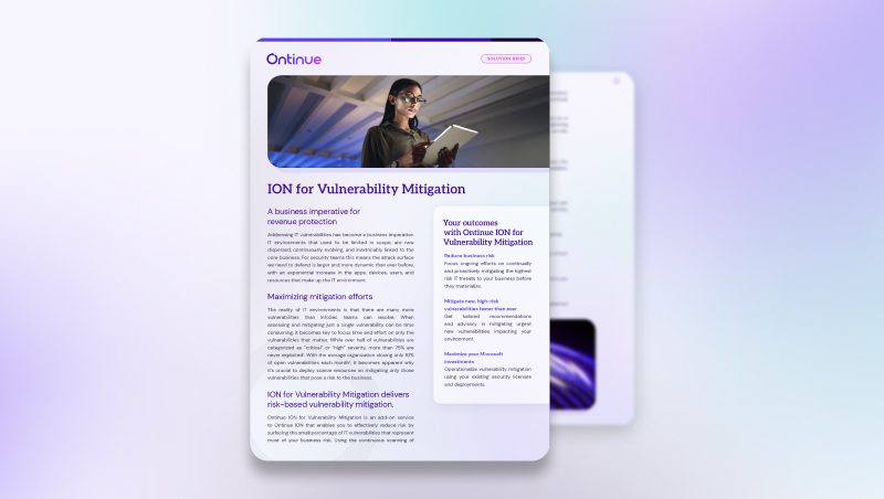 A digital flyer titled 'ION for Vulnerability Mitigation' displayed on a gradient background. It features a speaker holding a microphone, with sections of text outlining vulnerability strategies and methods for effective mitigation.