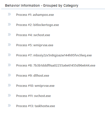 A screenshot displaying a list of processes grouped by category in a system monitoring tool, including filenames such as ashampoo.exe, bitlockertogo.exe, mviprvse.exe, and svchost.exe, indicating various running tasks.